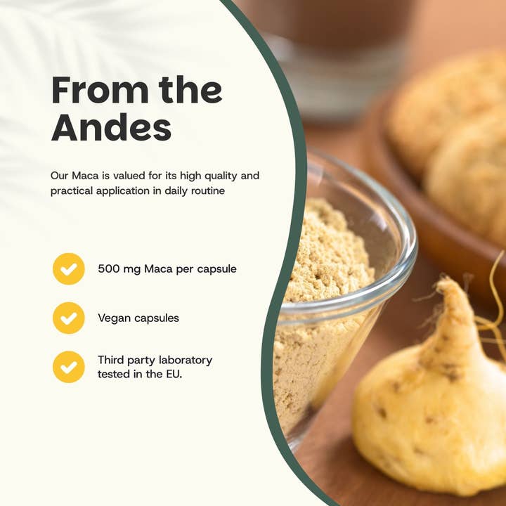 Cupplement b.v. - Wholesale Oral Supplement/Vitamin - Maca Capsules 500 mg Organic 100 Capsules1