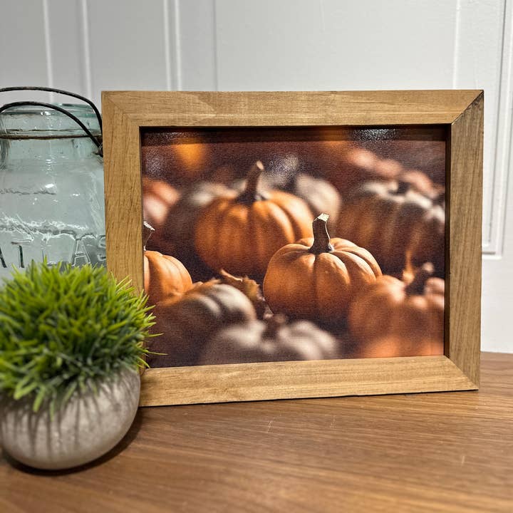 Pumpkins, The colors of fall for wholesale by The Broken Board