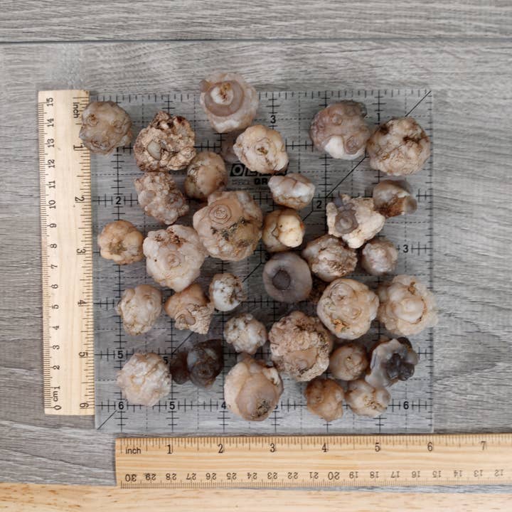 Keystone Crystals - Wholesale Spiritual Stone/Crystal - Bulk Gobi Agate Stones – 1 lb Lot for Crystal Shops4