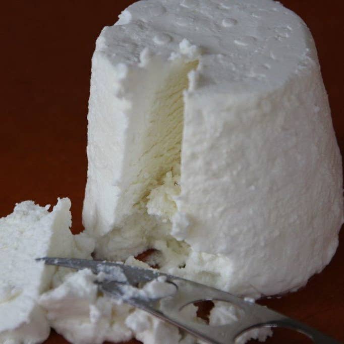 NW Ferments - Wholesale DIY Food Kit - Chèvre Cheese Starter DIY Food Kit2