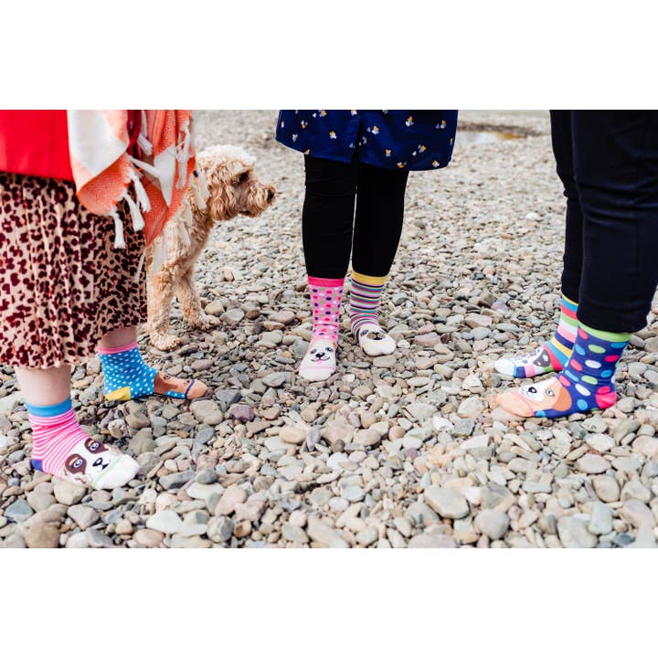 Sock Academy - Wholesale Socks - Unisex - PAWSOME | 6 Odd Socks Gift Box - United Oddsocks