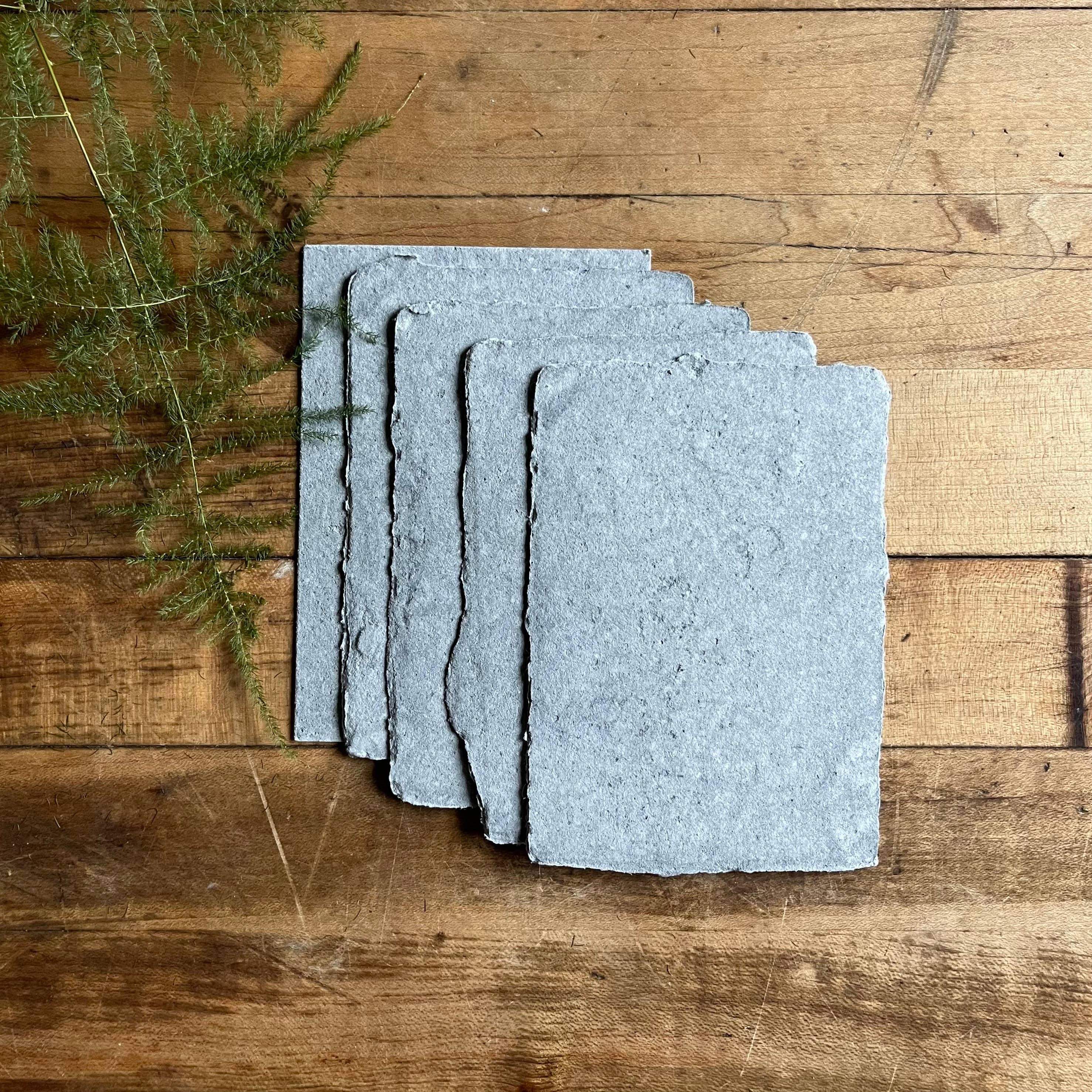 Bat Flower Press - Wholesale Stationery/Notecard Set - Mini sets of cards with envelopes7