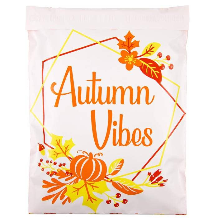 PLT Wholesale - Wholesale Envelopes - 10x13 Poly Mailers-Flat (Single)28