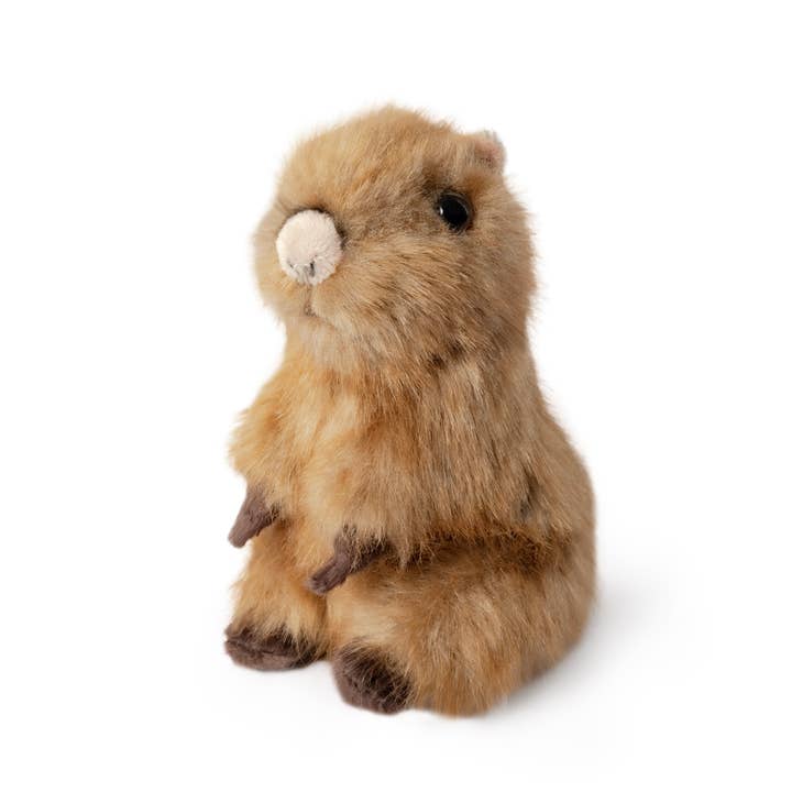 Living Nature Sitting Capybara Pup Plush Stuffed Animal Toy for wholesale by Keycraft