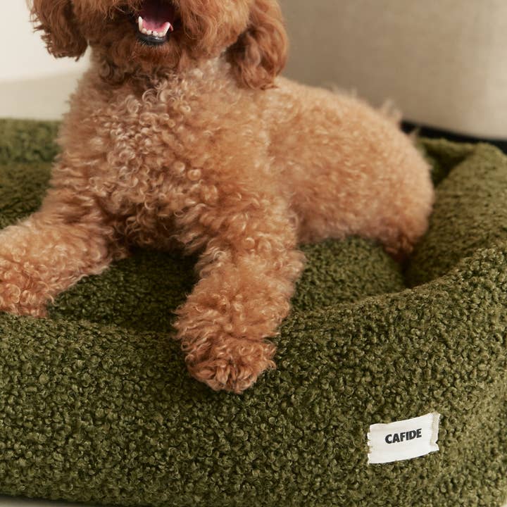 CAFIDE - Wholesale Pet Bed - Dog - Green Sheep Dog Bed, Snozy4