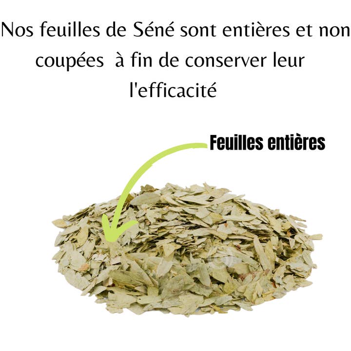 ELITEA – Engroshandel Sundheds-/detox-te – Økologiske Senna Blade2