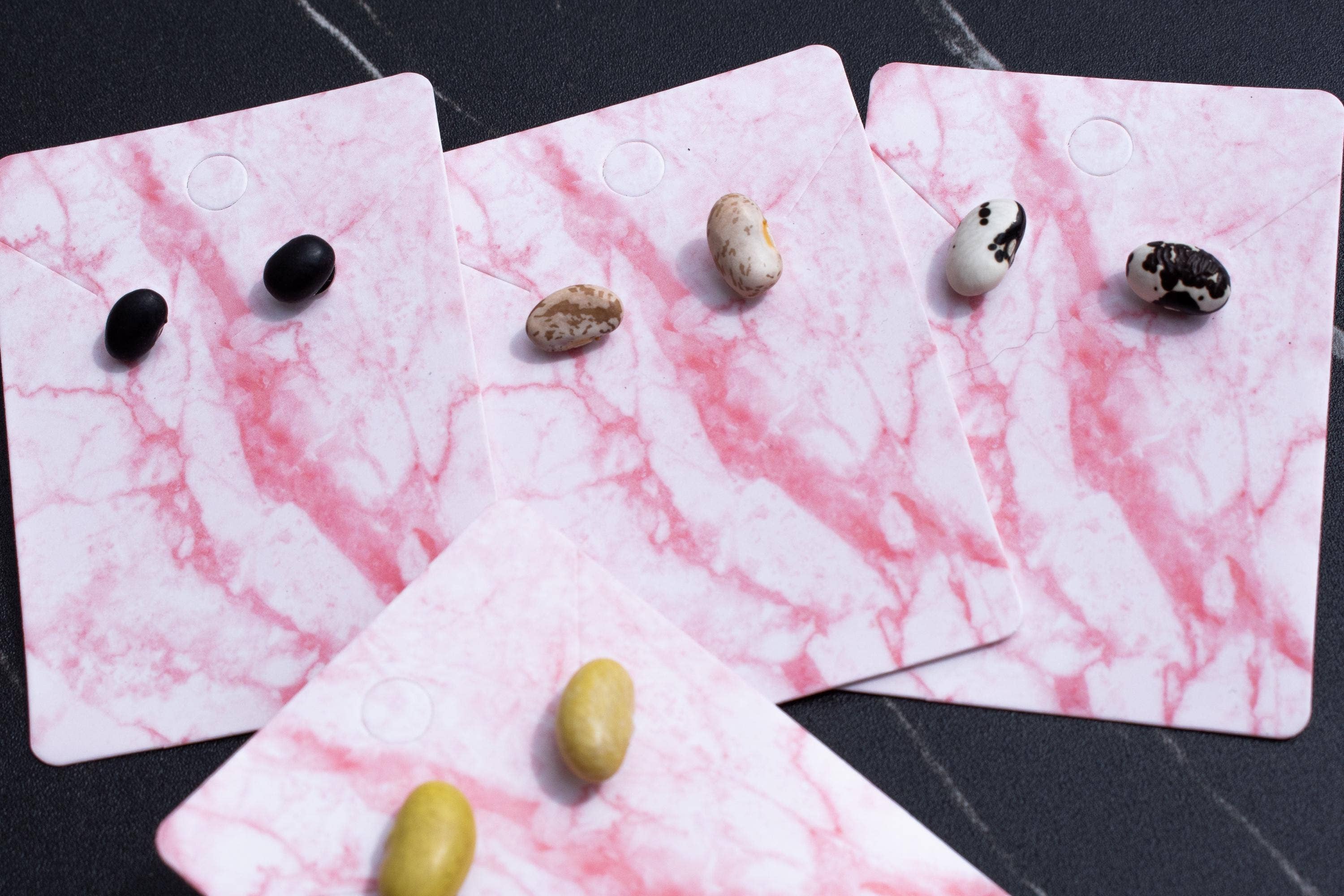 Shutterhaus – wholesale Hängande örhängen – Organiska torkade svarta bönor hypoallergena örhängen5