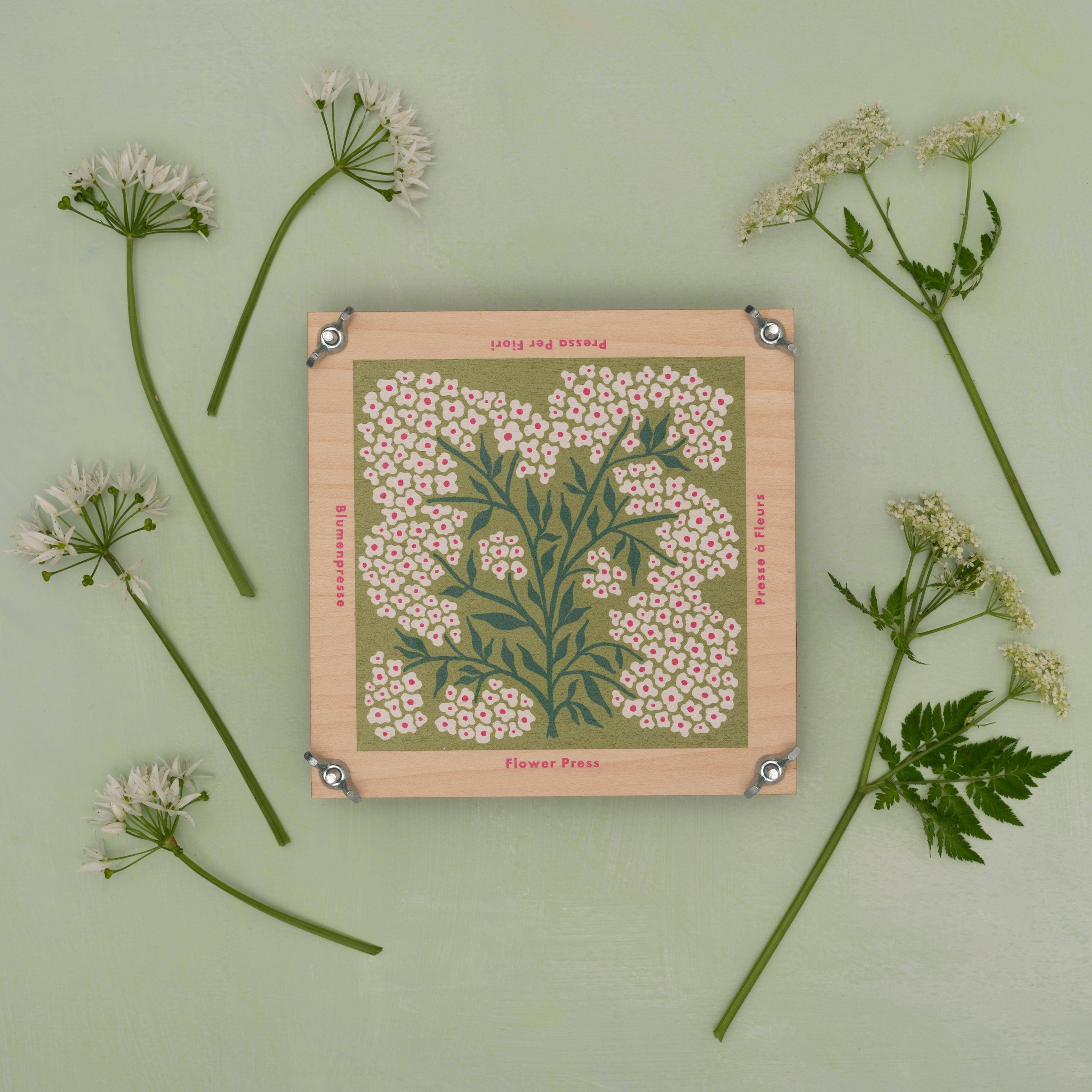 Studio Wald - UK Made - Wholesale DIY Craft Kit - Flower Press - Forget Me Not3