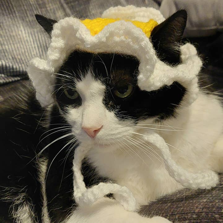 Crochet Fried Egg Hat - Cat Hat - Pet Hat - Made to order for wholesale by Glitter Ghost Clothing and Accessories