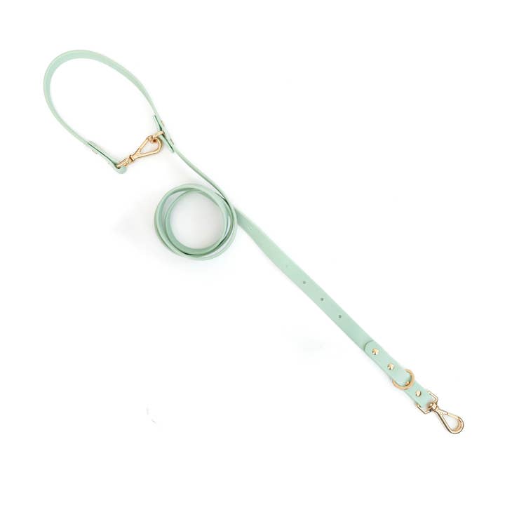 Furei Pets - Wholesale Pet Leash - Dog - Moodies Leash