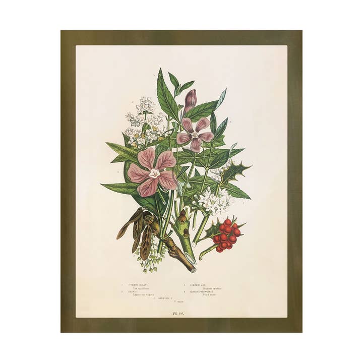 Wildflower Study (Holly and Ash) for wholesale by Shop At Sullivan