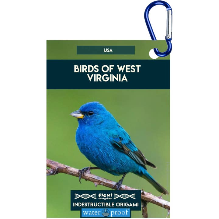 Uccelli della Virginia Occidentale-Origami Indistruttibile per la vendita all'ingrosso da parte di Flexi Field Guides