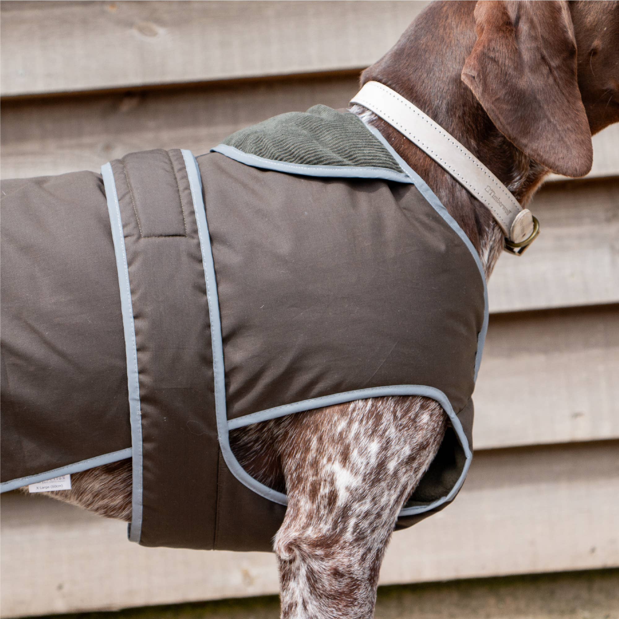 Ancol Pet Products Ltd - Wholesale Pet Coat - Dog - Heritage Wax Cotton Dog Coat XS-XXL3