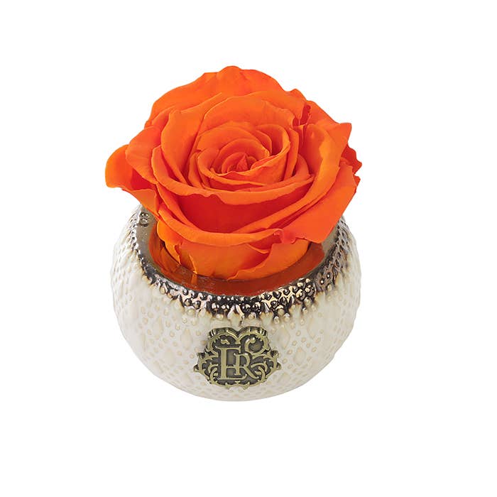 Eternal Roses® - Wholesale Artificial Flowers - Mini Soho Classic Eternal Luxury Rose5