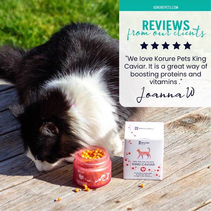 Kōrure Pets - Wholesale Pet supplement – Cat/dog - Cats King Caviar *NEW*2