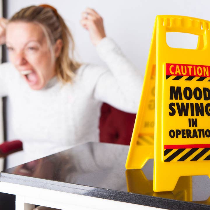 Boxer Gifts EU - Wholesale Gag Gift/Novelty Gift - Mood Swing Desk Warning Sign - Joke/Novelty Gifts3
