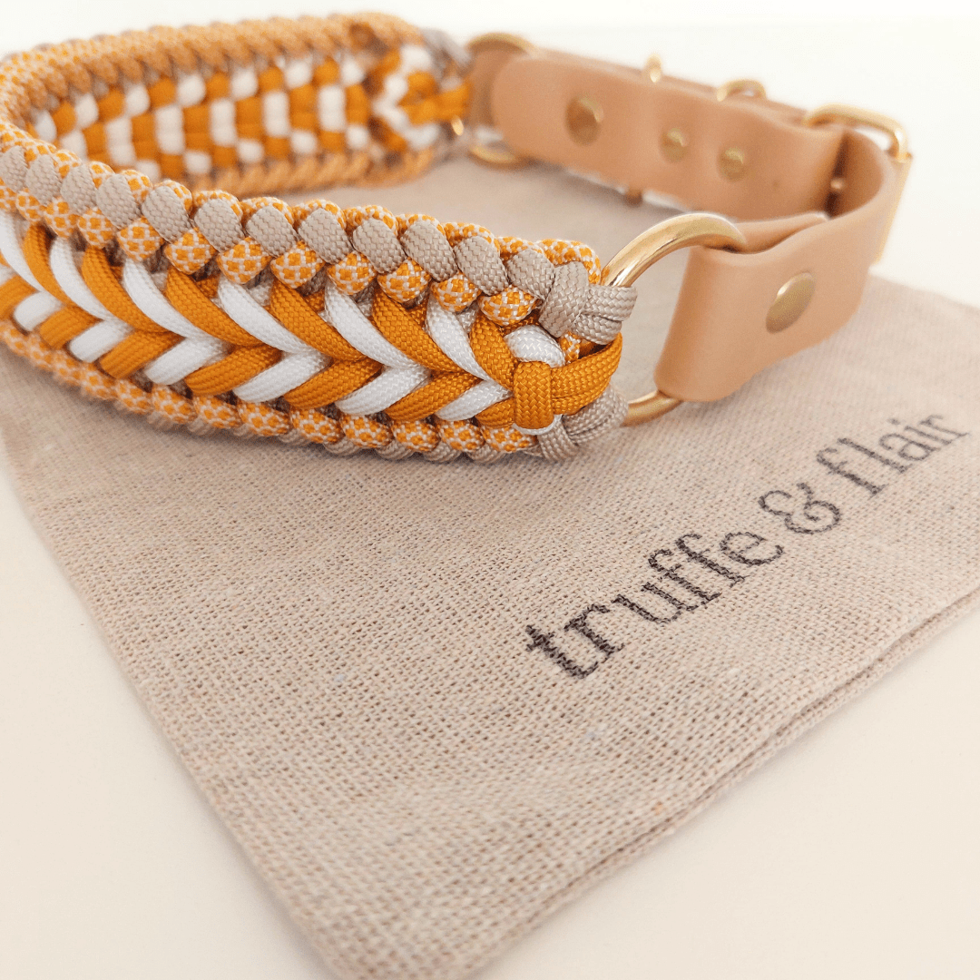 Truffe & Flair - Wholesale Pet Collar - Dog - Braided Dog Collar - Biothane/Paracord - Yellow6