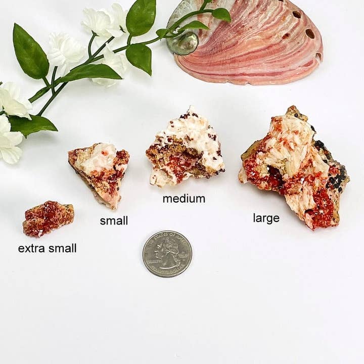 Rock Paradise - Wholesale Spiritual Stone/Crystal - Crystal Natural Vanadinite Raw Specimen - Spiritual Stone