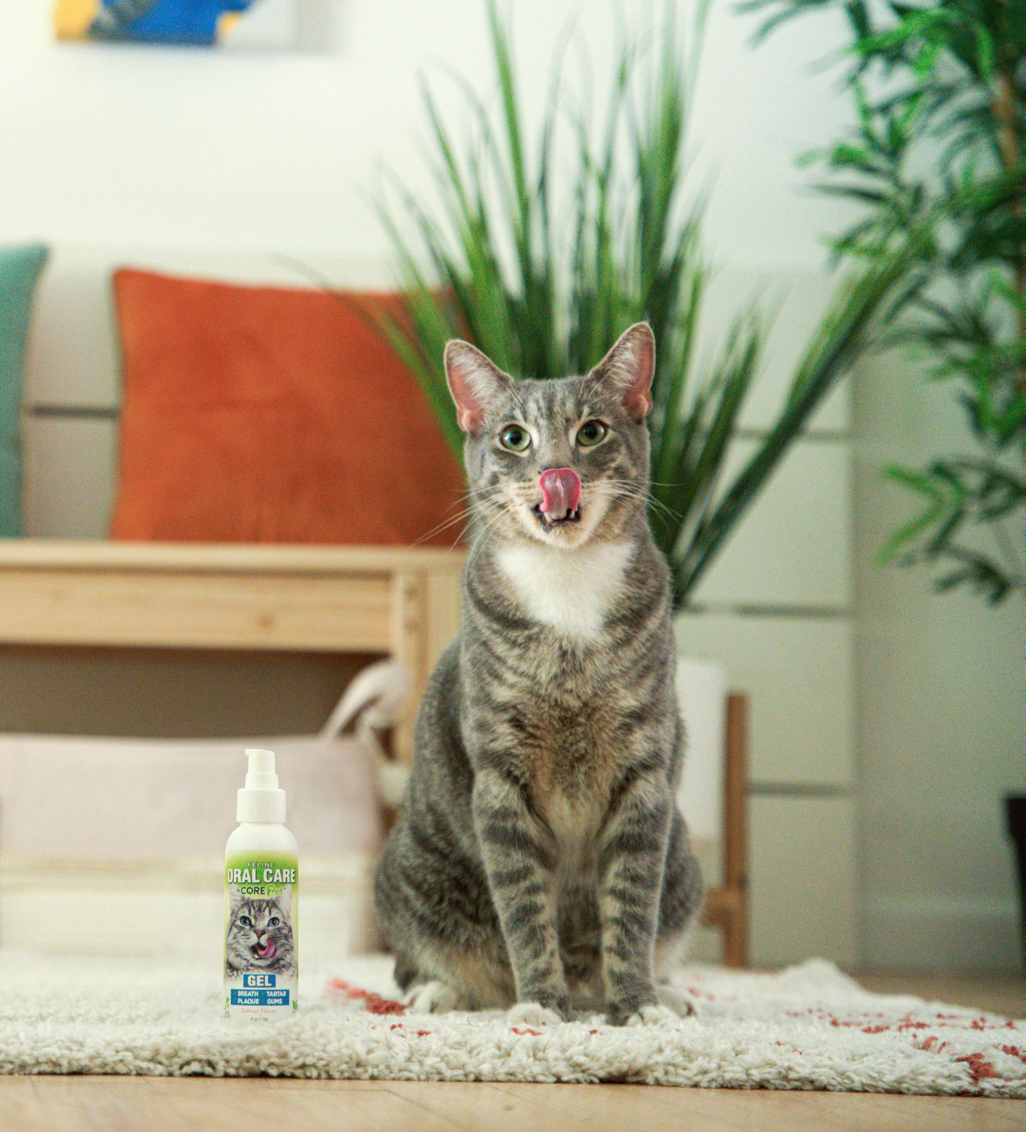 ADORE Pet – wholesale Pet supplement – Cat – 4 oz Complete Oral Care Feline Gel - Salmon2