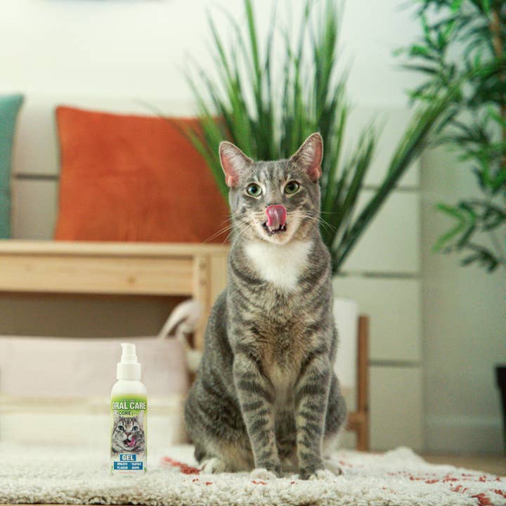 ADORE Pet – wholesale Pet supplement – Cat – 4 oz Complete Oral Care Feline Gel - Salmon2