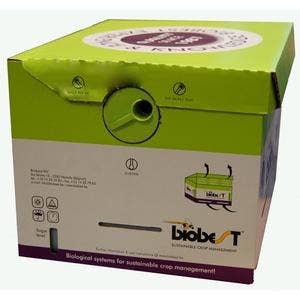 Agralan - Wholesale Plant Seeds - Bumblebee Colony Refill