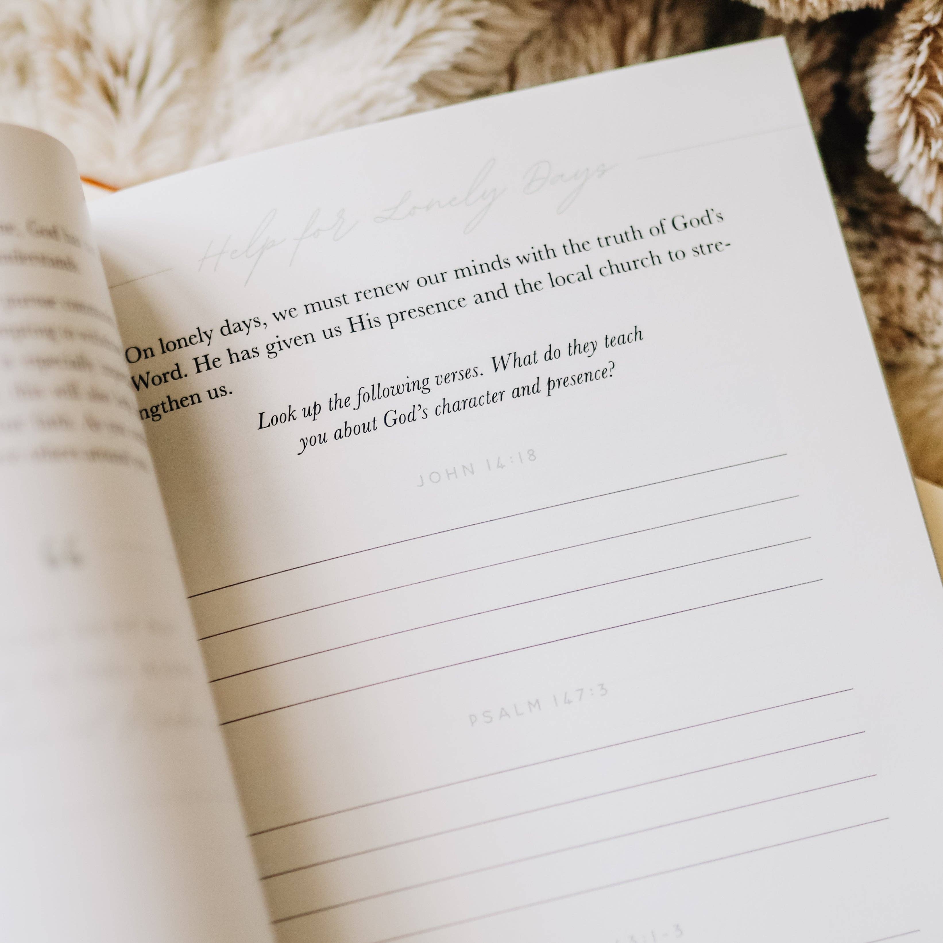 The Daily Grace Co - Wholesale Religion - Gospel Hope in Grief and Loss3