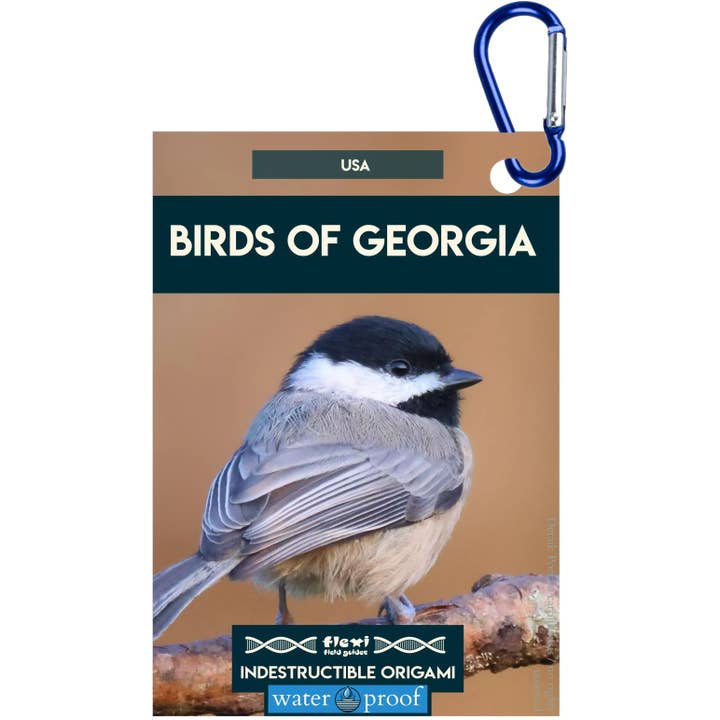 Birds of Georgia-Indestructible Origami for wholesale by Flexi Field Guides