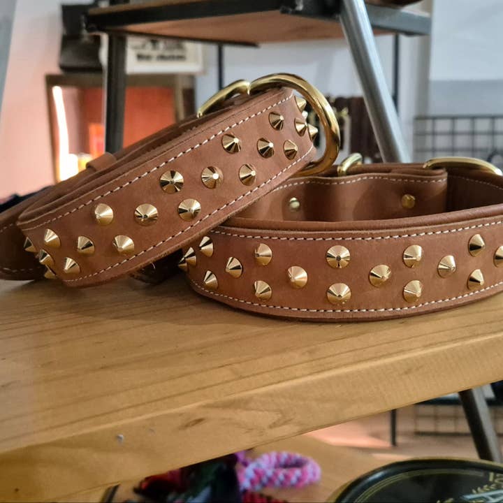 WK&D - Wholesale Pet Collar - Dog - 3.8cm wide studded collars