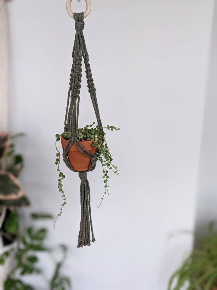 Leaf and Cord - Vente Jardinière suspendue - Cintre pour plantes en macramé - Le Petit4