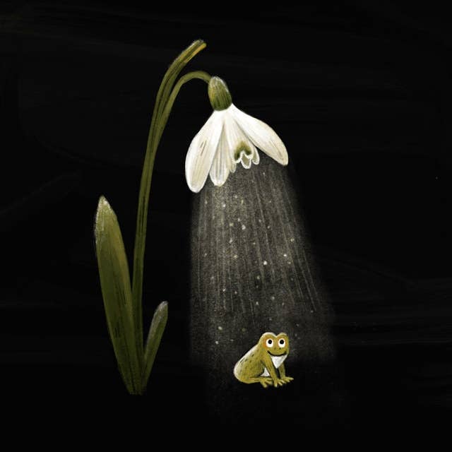 Snowdrop & Frog // Signed Print for wholesale by Sandra Dieckmann