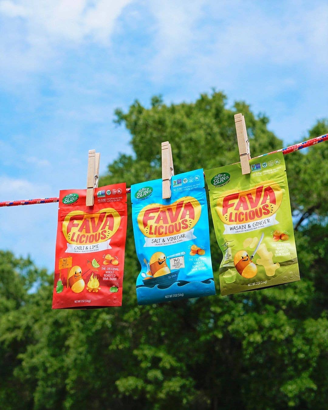 Favalicious® - Wholesale Nuts - Favalicious Variety Pack - Pack of 72 x 2oz bags4