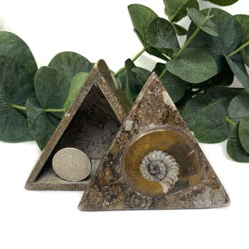 The Crystal Tabby - Wholesale Jewelry Box/Organizer - Ammonite Triangle Jewelry Box