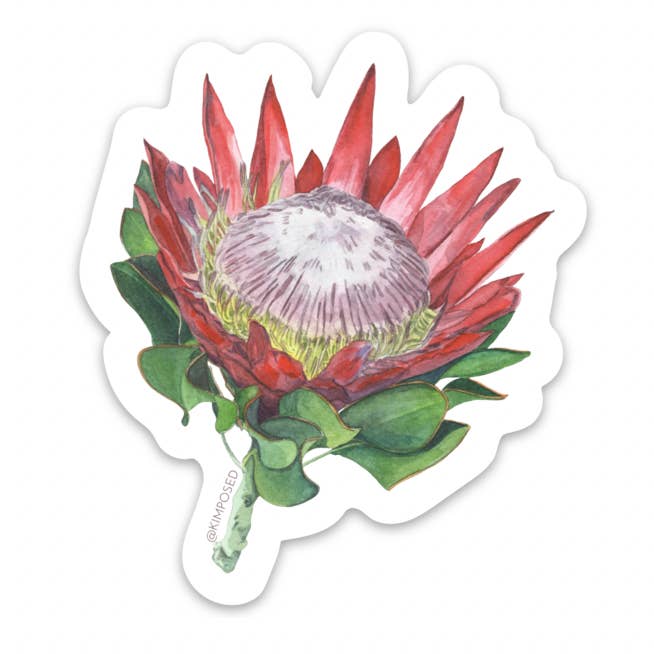 Protea Flower Sticker Series 3 for wholesale by Kimposed
