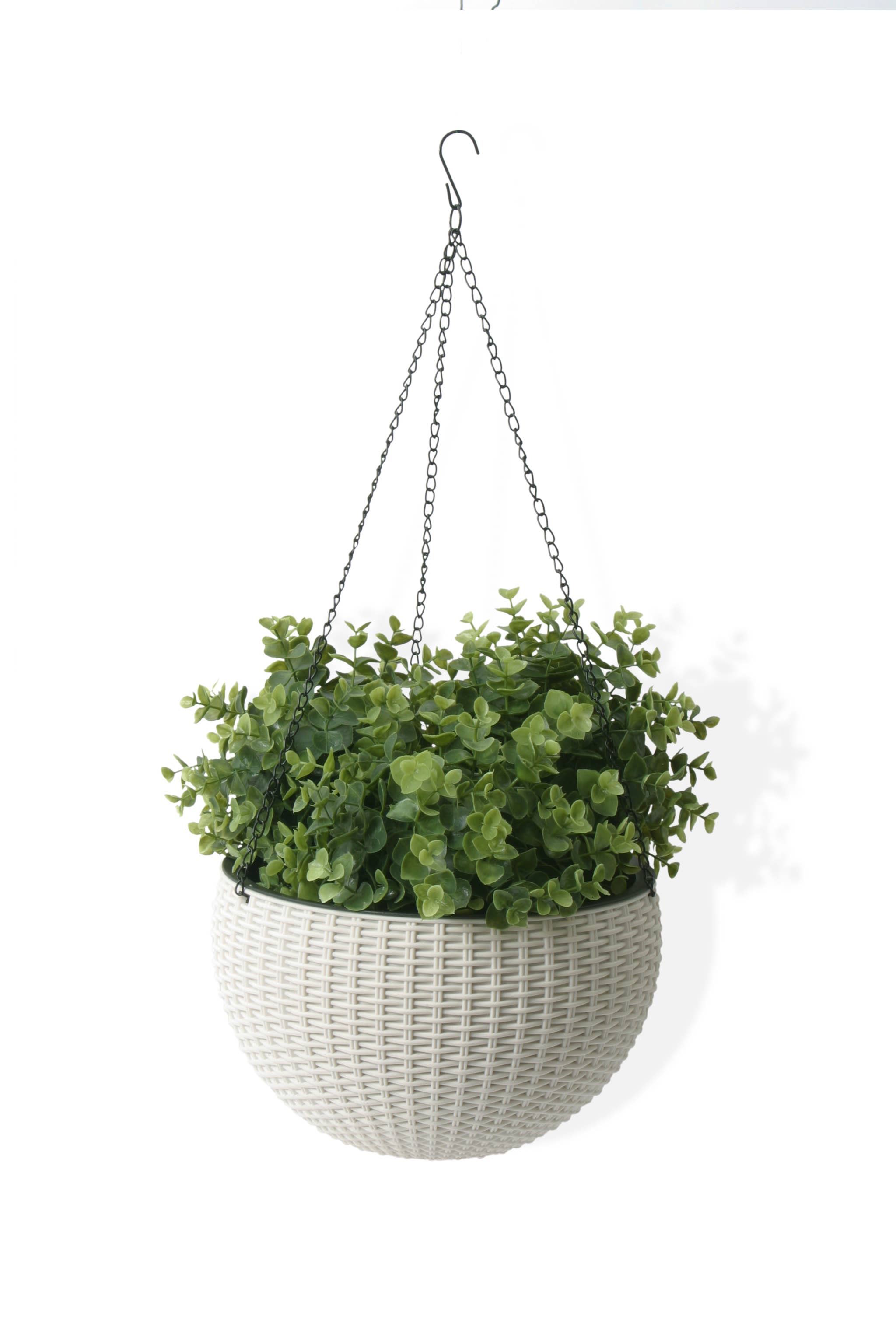 Algreen - Wholesale Hanging Planter - Modena Self-Watering Hanging Basket Planter12