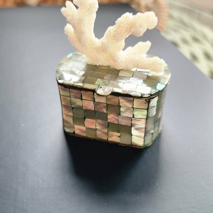 White Tulip Boutique - Wholesale Decorative Box - Mini Abalone MOP Shell Trinket Pill Box5