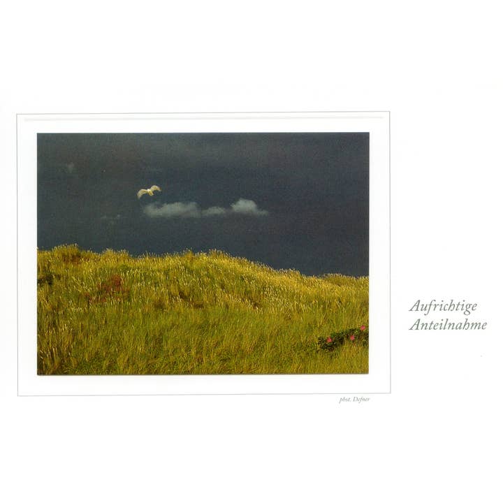 cartão de simpatia por atacado de Defner Photo Verlag seit 1919