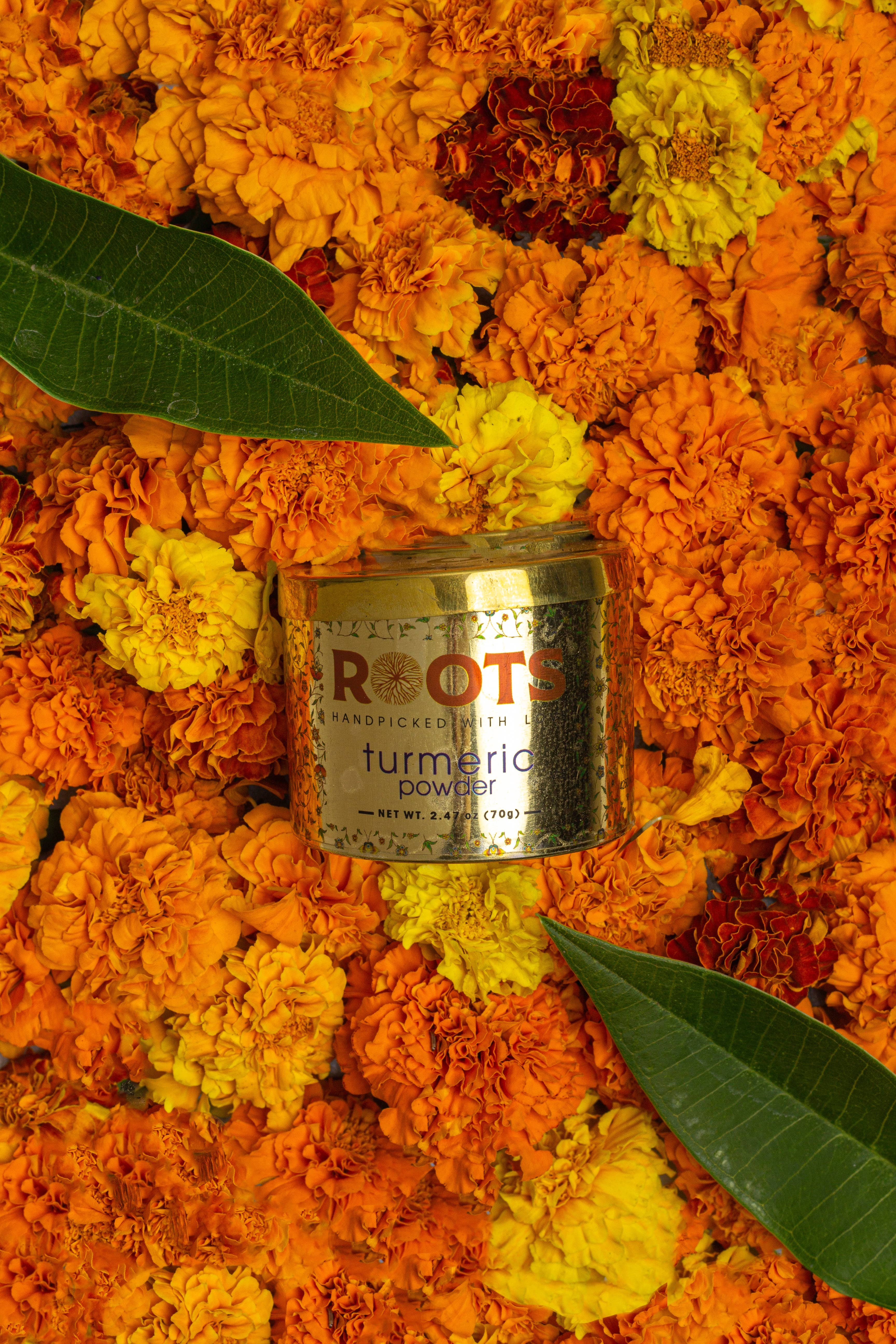 Roots Spice - Wholesale Dried Spice - Turmeric Powder (Case of 12)3