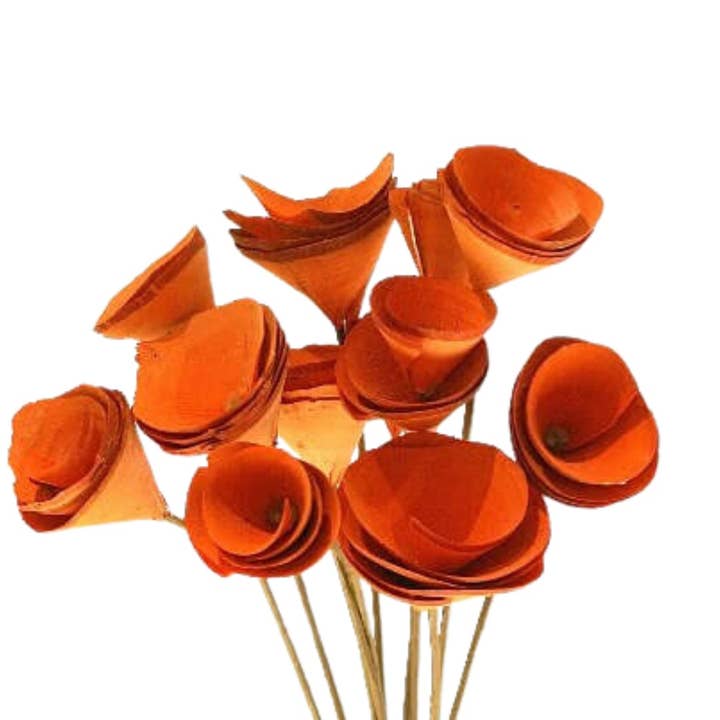 Botanico Ltd. – wholesale Artificial flowers – Wood Cones12