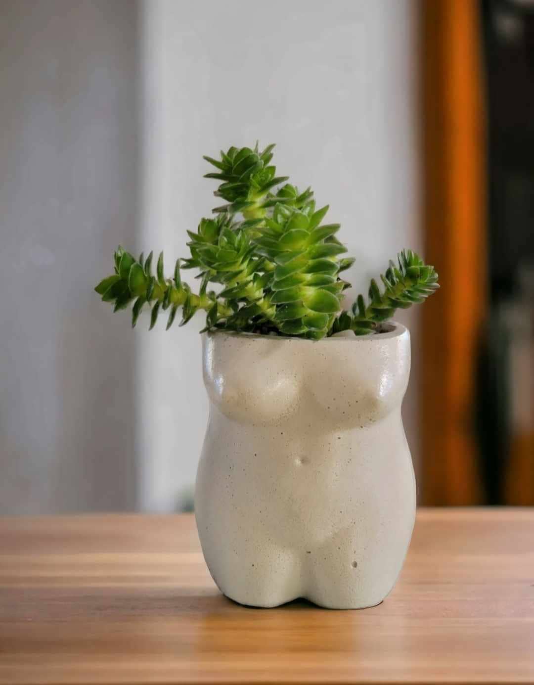 Fern and Folk - Wholesale Plant Pot - Body Pot | Female Planter | Female Pot | Female Planter5