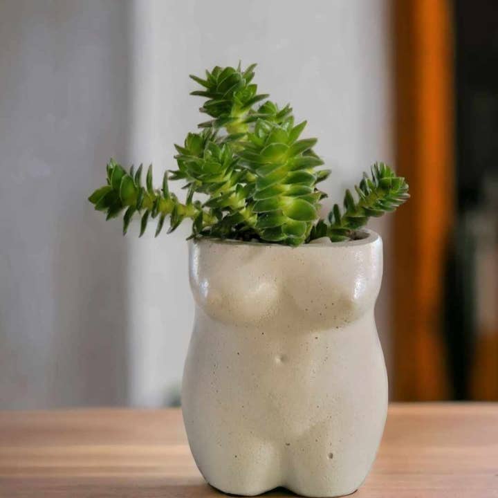 Fern and Folk - Wholesale Plant Pot - Body Pot | Female Planter | Female Pot | Female Planter5