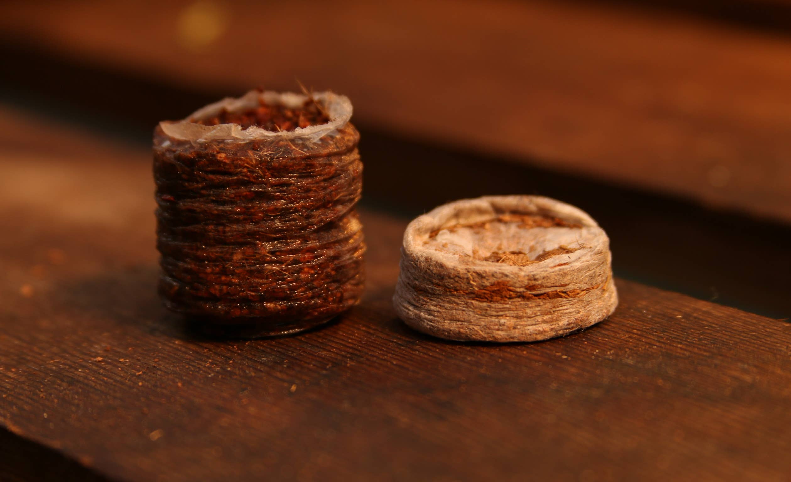 CoirProducts.co.uk of Salike Limited – wholesale Plant seeds – 32 mm Coir Coins | Coir Pellets For Germination Seeds5