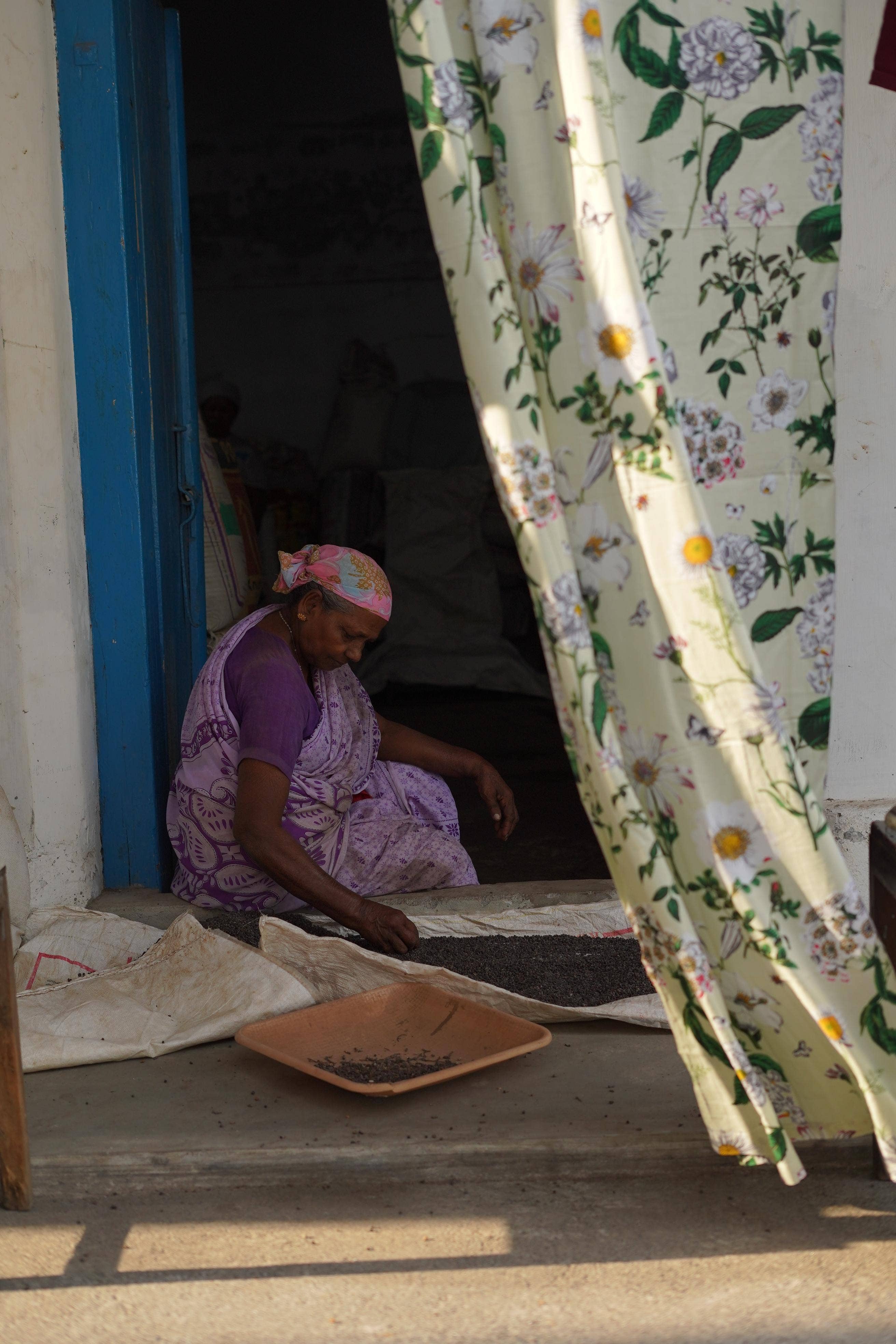 Annahmol - Wholesale Curtain - Vintage Inspired Botanical Sheer Curtains: Assorted Prints61