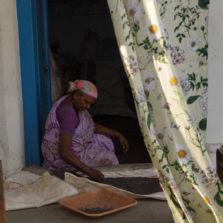 Annahmol - Wholesale Curtain - Vintage Inspired Botanical Sheer Curtains: Assorted Prints61