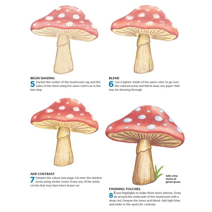 Mixed Media Resources LLC - Wholesale Arts & Entertainment - 15-Minute Artist: Simple & Quick Drawing Guide3
