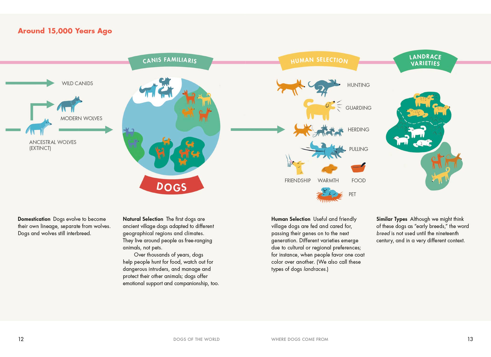 Penguin Random House LLC - Wholesale Pets - Dogs of the World1