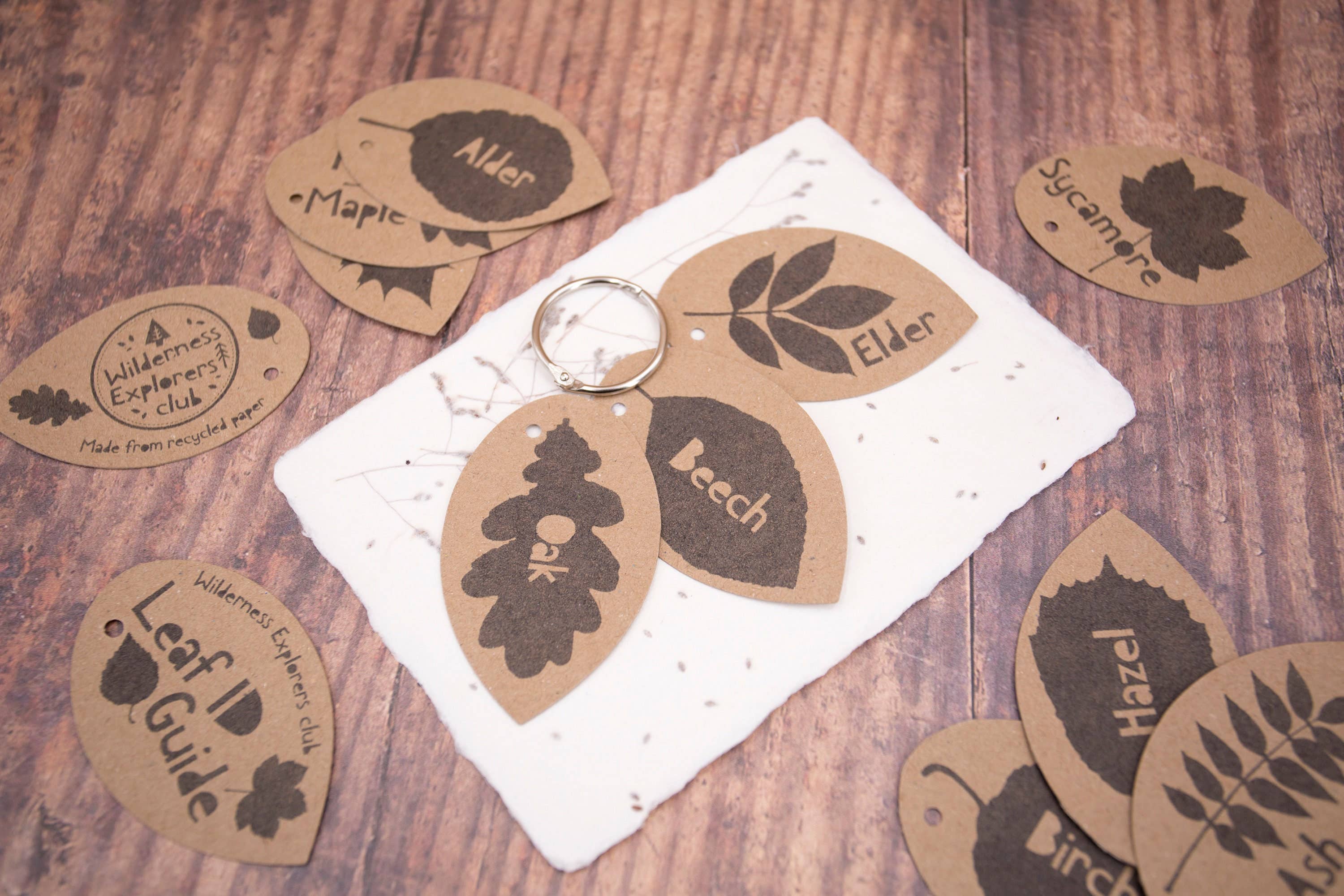 Katy and the Bear - Wholesale Nature & Outdoors - Leaf ID Guide - eco, forest school, child minder3