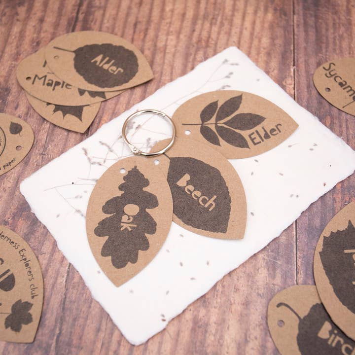 Katy and the Bear - Wholesale Nature & Outdoors - Leaf ID Guide - eco, forest school, child minder3