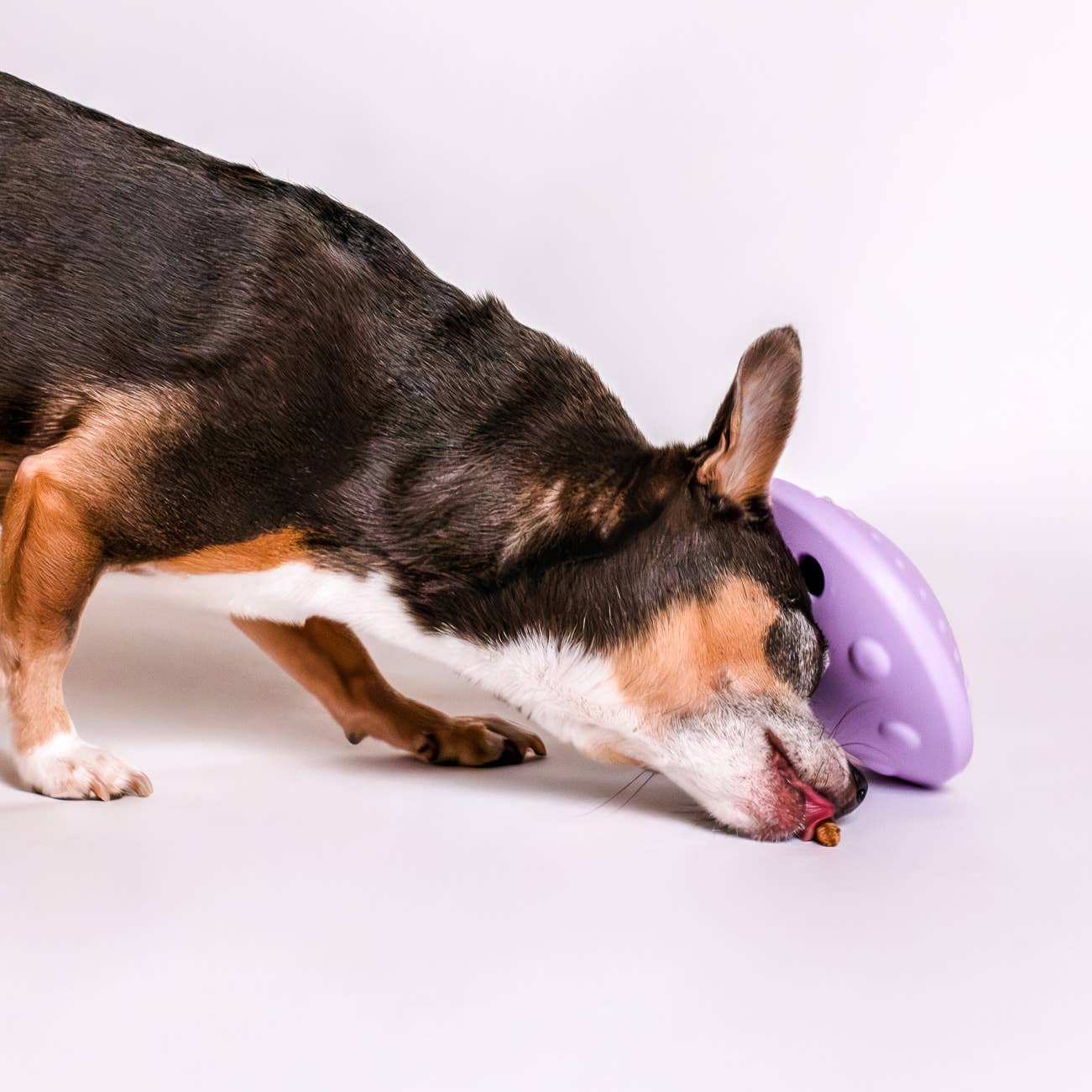 Awoo – wholesale Pet toy – Dog – Flying Saucer Silicone Puzzle Toy1