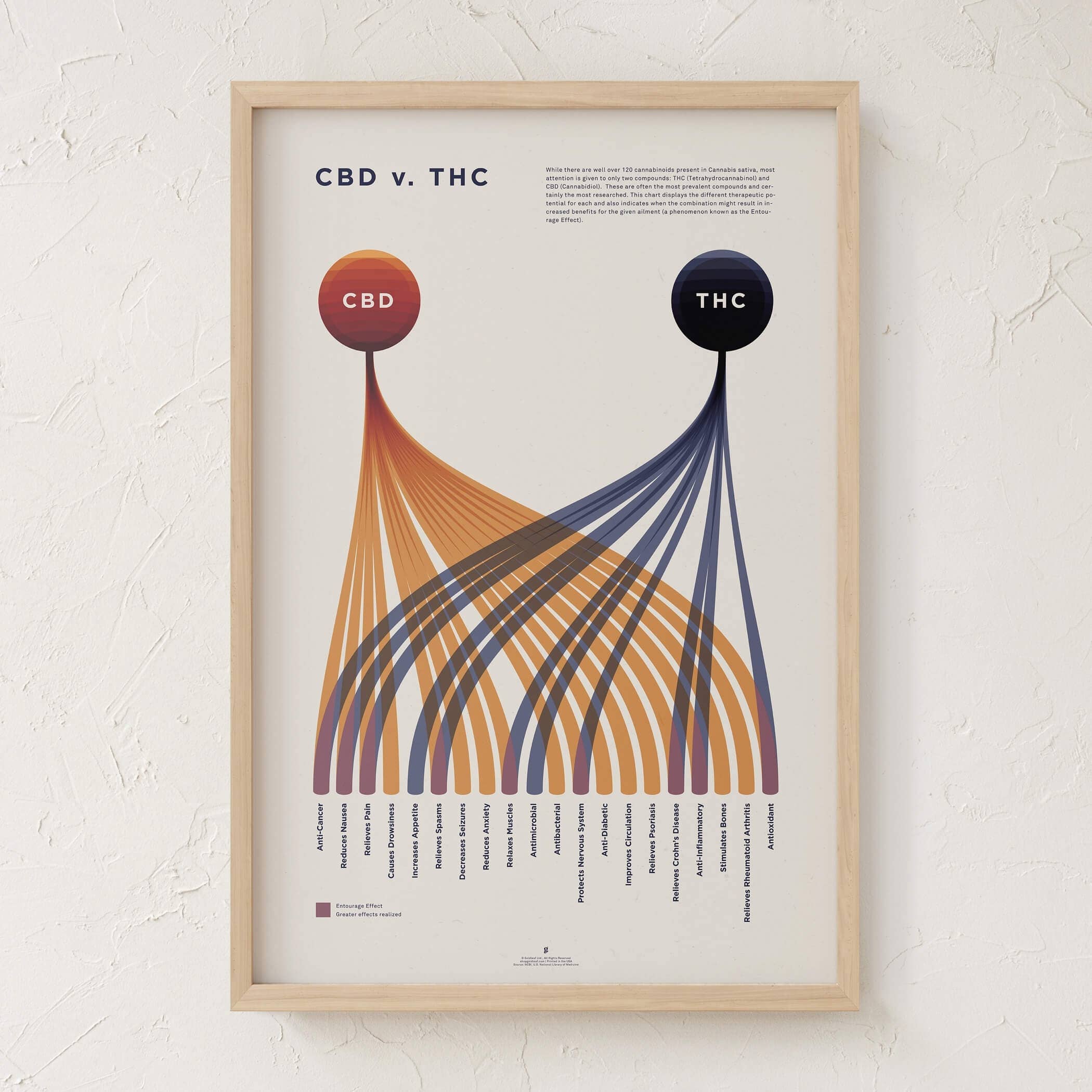 Goldleaf - Wholesale Art Print - CBD v. THC Comparison Chart Print9