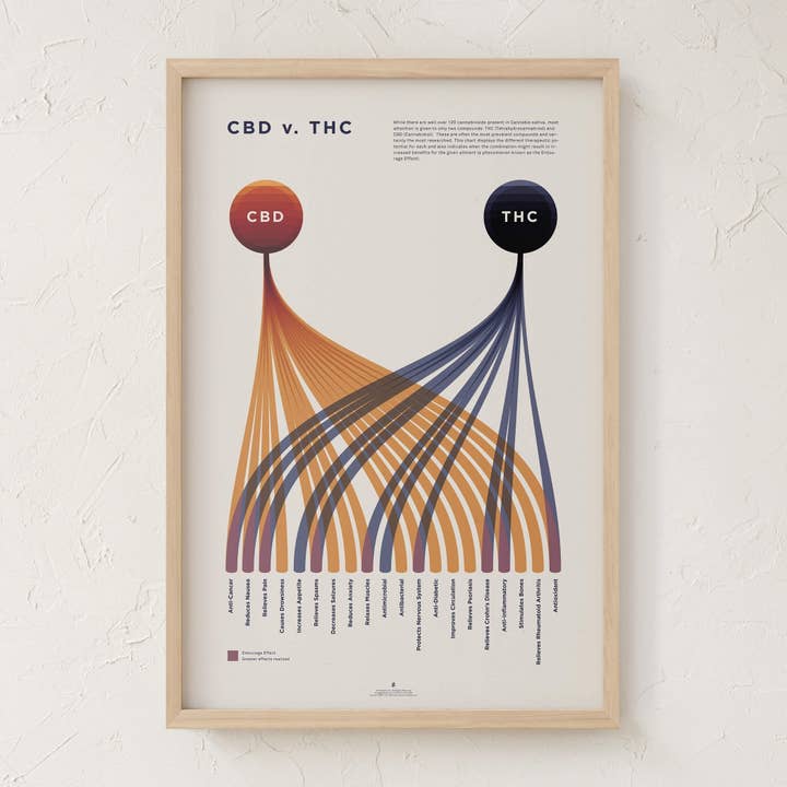 Goldleaf - Wholesale Art Print - CBD v. THC Comparison Chart Print9